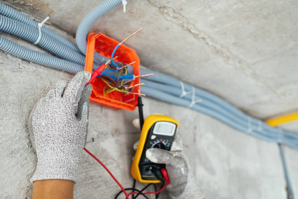 Best Electrician for Home Renovation  in Minerva Park, OH